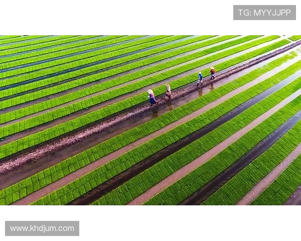 体育旅游资源空间分布特征研究